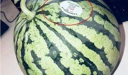明显网红吃瓜,娱乐圈幕后真相曝光