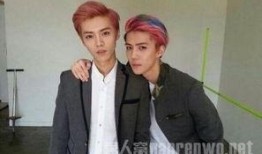 鹿晗吴世勋狗仔爆料视频,揭秘明星私生活幕后真相