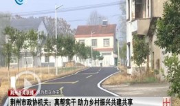 荆州小区王先生爆料新闻,惊曝小区内惊人事件！