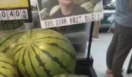 中山网红吃瓜事件,揭秘网络舆论的风云变幻