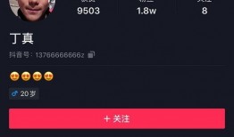 爆料被撞博主视频大全集,被撞博主视频大全集背后的真相与反思