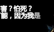虎妞的爆料视频下载,娱乐圈惊人内幕大曝光