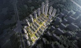 武汉潘大观最新爆料