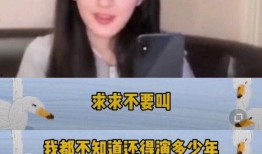 赵姐每日爆料视频,热点事件深度解析