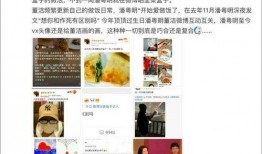 浏览网红吃瓜网站犯法吗,揭秘网红吃瓜网站的法律边界