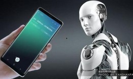 美国丽人手机在线观看,一场视觉与情感的盛宴