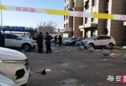 哈尔滨事发双城爆料视频,揭秘背后真相与影响