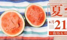 哪些公众号可以免费吃瓜,必关注的公众号大盘点