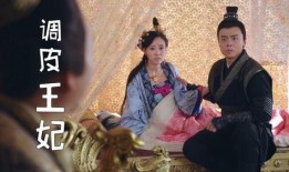 调皮王妃在线观看下载,穿越时空的甜蜜邂逅