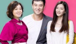 电视剧一仆二主在线观看,揭秘现代都市中的情感纠葛与职场风云