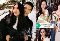 向佐狗仔爆料视频大全,揭秘娱乐圈幕后真相