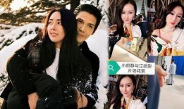 向佐狗仔爆料视频大全,揭秘娱乐圈幕后真相