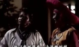 人鬼狐新传在线观看,穿越时空的奇幻之旅