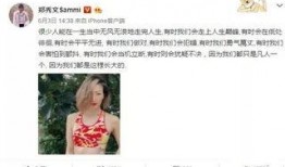 郑秀文香港爆料视频播放,揭秘娱乐圈背后真相