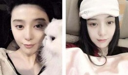 800全网明星网红吃瓜合集,年度娱乐圈大揭秘！