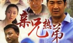 亲兄热弟在线观看,兄弟情深，共度人生风雨