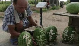 吴川网红吃瓜事件真相视频,真相视频曝光背后的真相