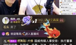 鹏哥爆料金子视频,金子视频背后的惊人真相