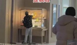 最新爆料珠宝店纠纷事件,最新爆料揭示惊人内幕