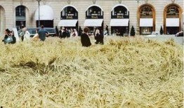 刘老师爆料麦田视频大全,麦田视频大全背后的惊人真相