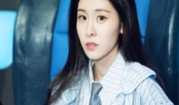 刘晨爆料倪海杉视频,真相与争议并存