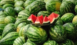 吴川网红吃瓜事件真相视频,真相视频曝光背后的真相