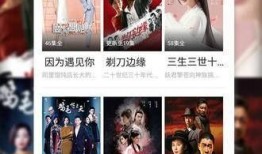 月饼爆料明星视频播放下载,播放下载热潮席卷全网