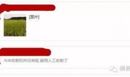 最新爆料图片怎么做,图片背后的惊人真相！