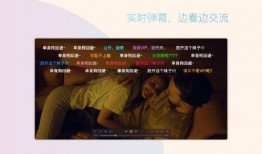 theplayer在线观看,theplayer在线观看，解锁无限精彩