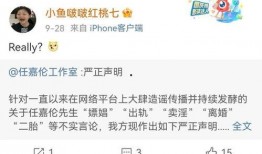 微博爆料任嘉伦事件视频,真相与争议并存，网友热议不断