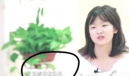 娱乐圈的爆料和传闻是否可信