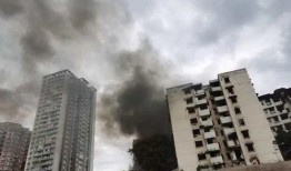 重庆今日爆料新闻最新,考古专家揭秘千年之谜