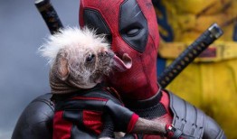 死侍3在线观看,疯狂回归，在线观影盛宴