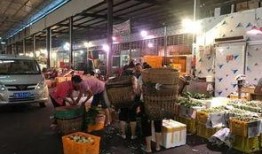 真实爆料批发市场视频大全,真实爆料视频大全背后的行业真相