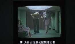 傀儡人生在线观看免费,揭秘人生操控背后的真相