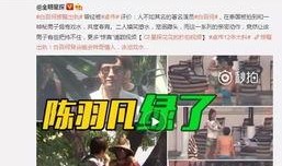 王海鑫最新爆料新闻视频,揭秘事件背后惊人真相