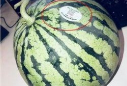 网红吃瓜平台有哪些,热门话题背后的娱乐江湖