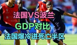 法国vs波兰爆料视频,独家爆料视频深度解析