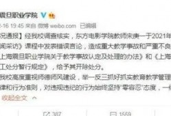 蔡老师爆料最新新闻视频,最新新闻视频揭秘幕后真相