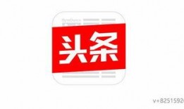 雷洲爆料头条最新消息