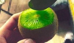 东北抖音网红吃瓜事件,揭秘网络舆论的风暴与真相