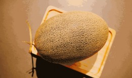 哈密瓜免费吃的,免费品尝哈密瓜，尽享甜蜜时光