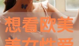 美国丽人手机在线观看,一场视觉与情感的盛宴