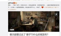 老罗爆料精神病视频,一场关于心理健康与误解的探讨