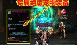 11.21体验服最新爆料,揭秘版本更新亮点与前瞻