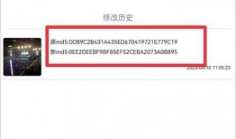 公关爆料视频素材下载,幕后真相大曝光