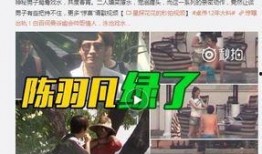 德柱最新爆料视频大全在线观看,揭秘幕后真相，精彩瞬间不容错过