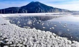 雪霜花电影在线观看,冬日里的浪漫邂逅