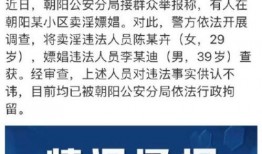 朝阳群众吃瓜网红是谁呀,朝阳群众吃瓜网红背后的故事