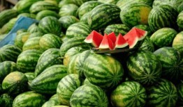 怎么吃网红瓜,轻松解锁美食新体验